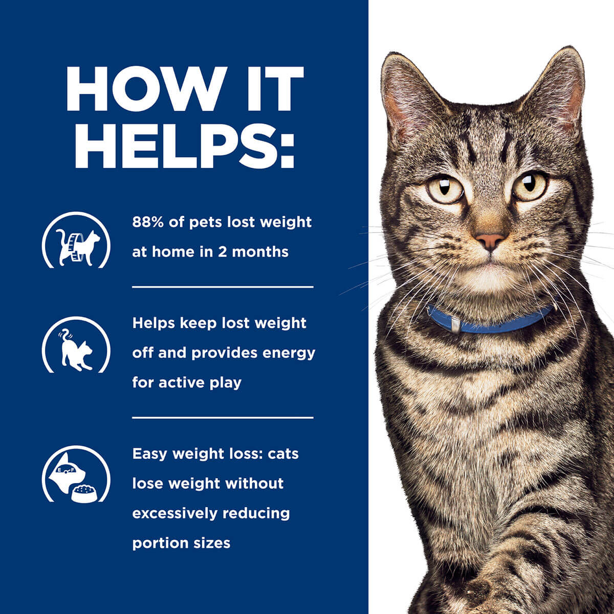 Hill's Prescription Diet Metabolic Weight Management Dry Cat Food - Image 24