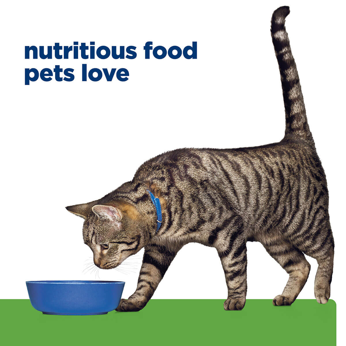 Hill's Prescription Diet Metabolic Weight Management Dry Cat Food - Image 48