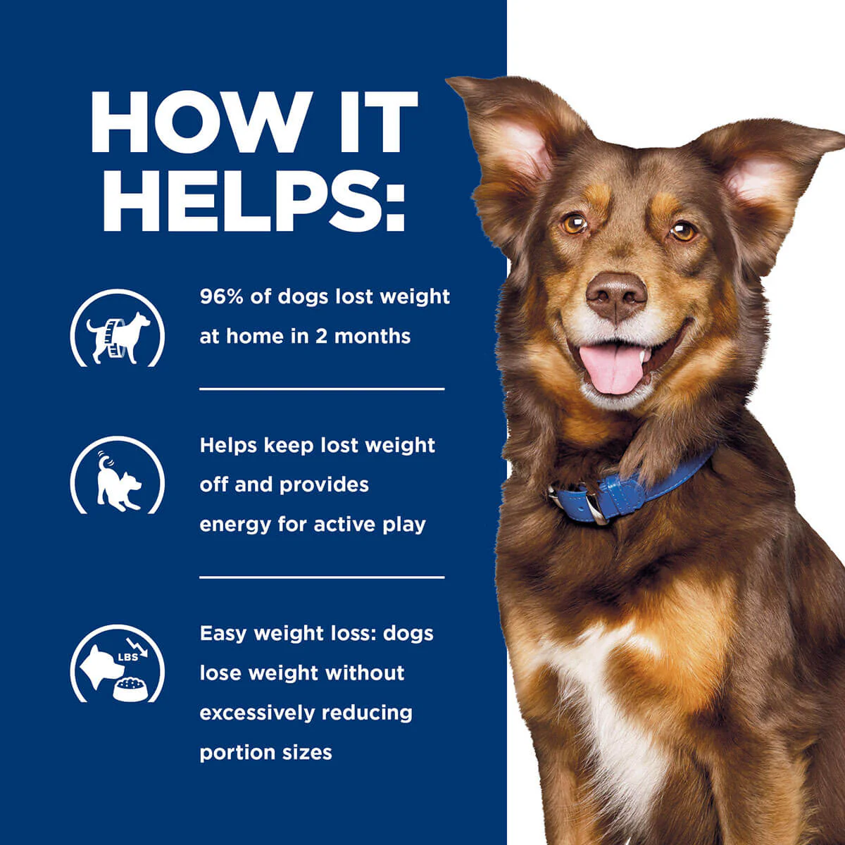 Hill's Prescription Diet Metabolic Weight Management Dry Dog Food - Image 25