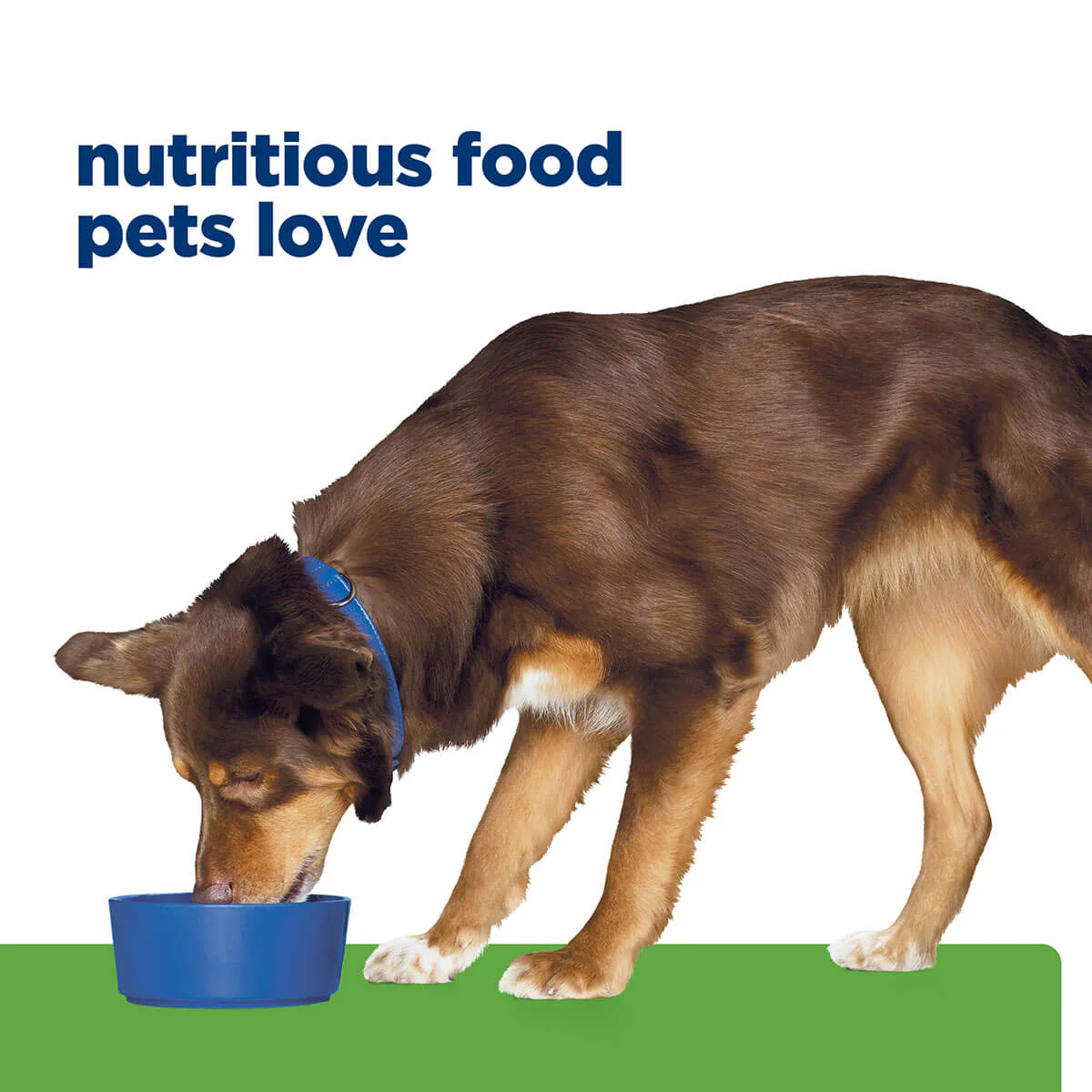 Hill's Prescription Diet Metabolic Weight Management Dry Dog Food - Image 49