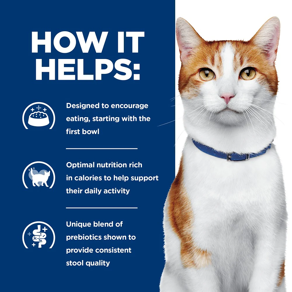 Hill's Prescription Diet ONC Care Chicken & Vegetable Wet Cat Food - Image 2