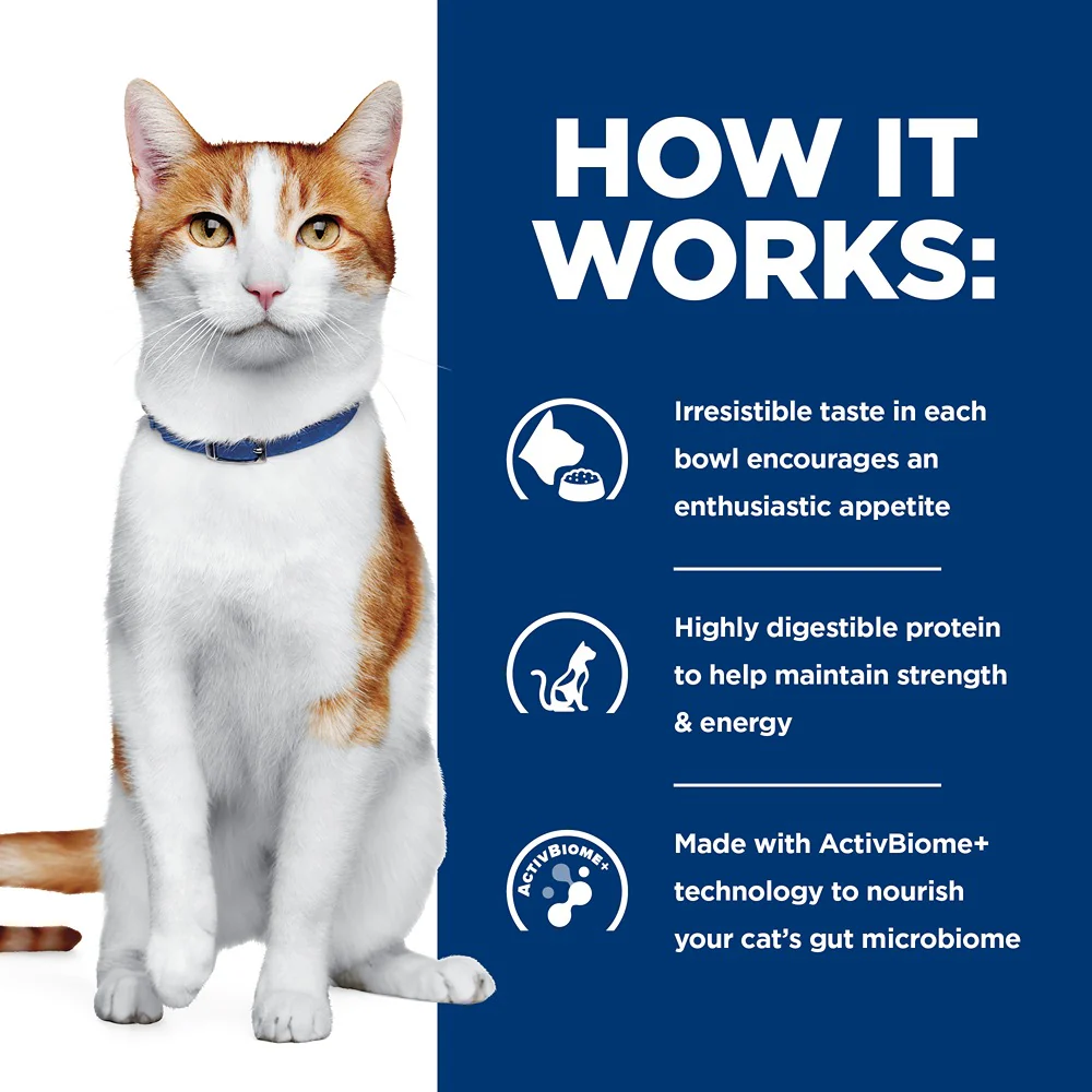 Hill's Prescription Diet ONC Care Chicken & Vegetable Wet Cat Food - Image 3