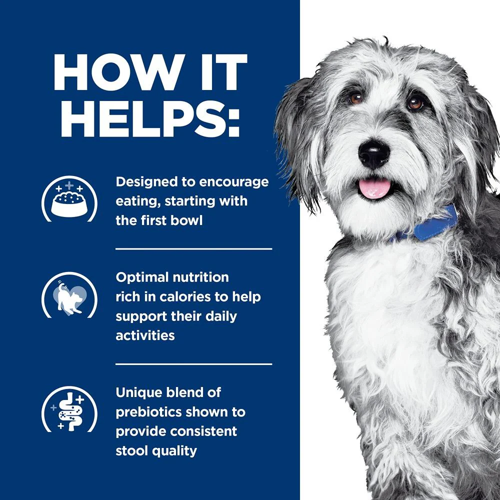 Hill's Prescription Diet ONC Care Chicken & Vegetable Wet Dog Food - Image 2