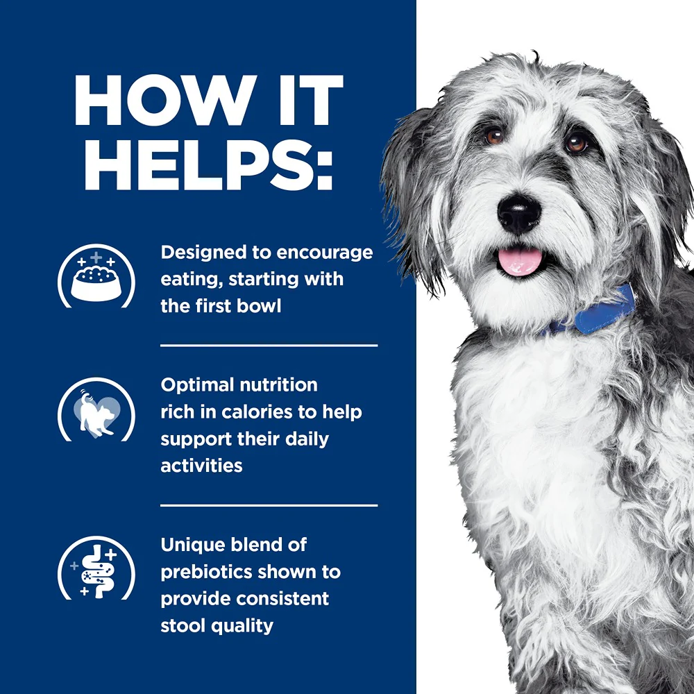 Hill's Prescription Diet ONC Care Dry Dog Food - Image 3