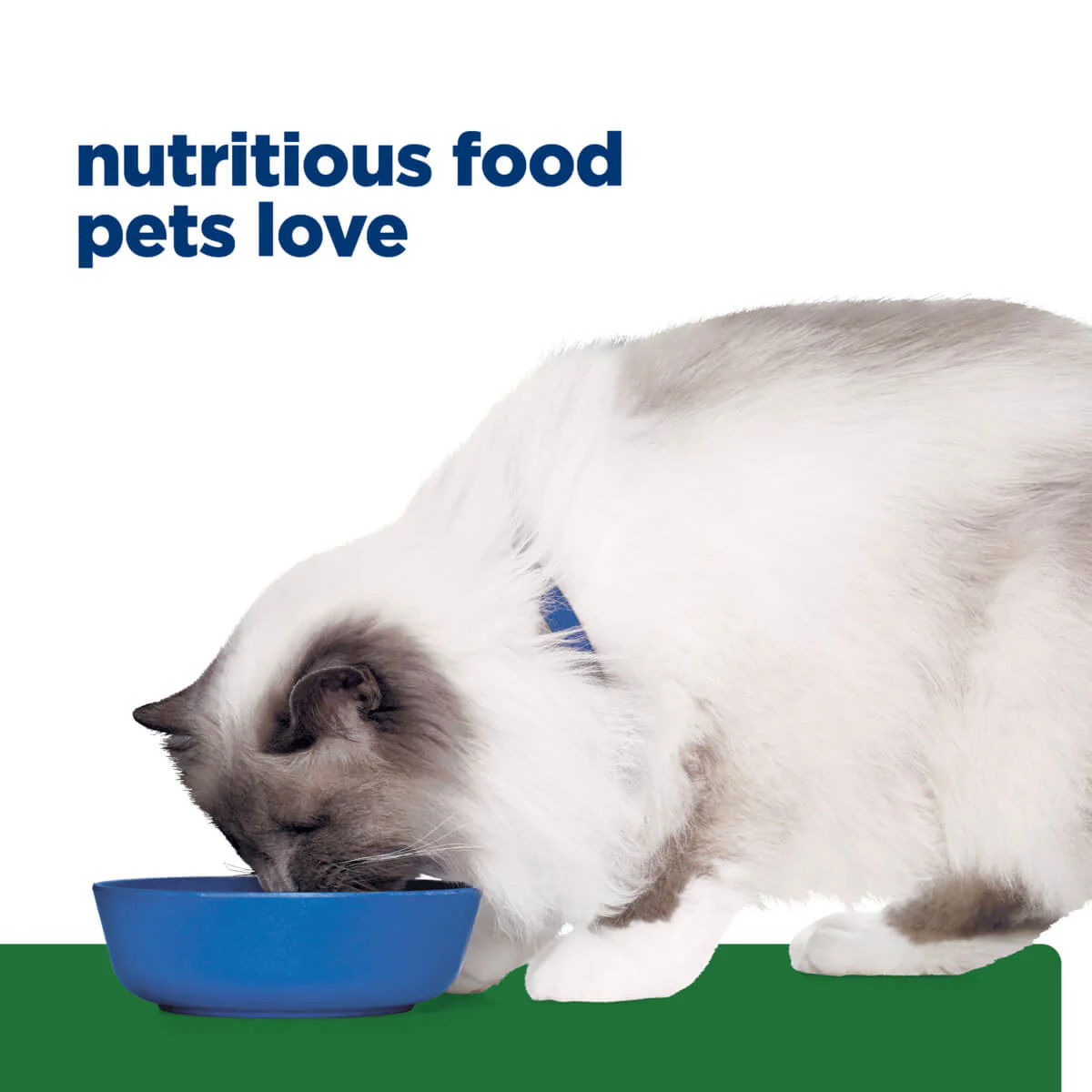 Hill's Prescription Diet R/D Weight Loss Dry Cat Food - Image 14
