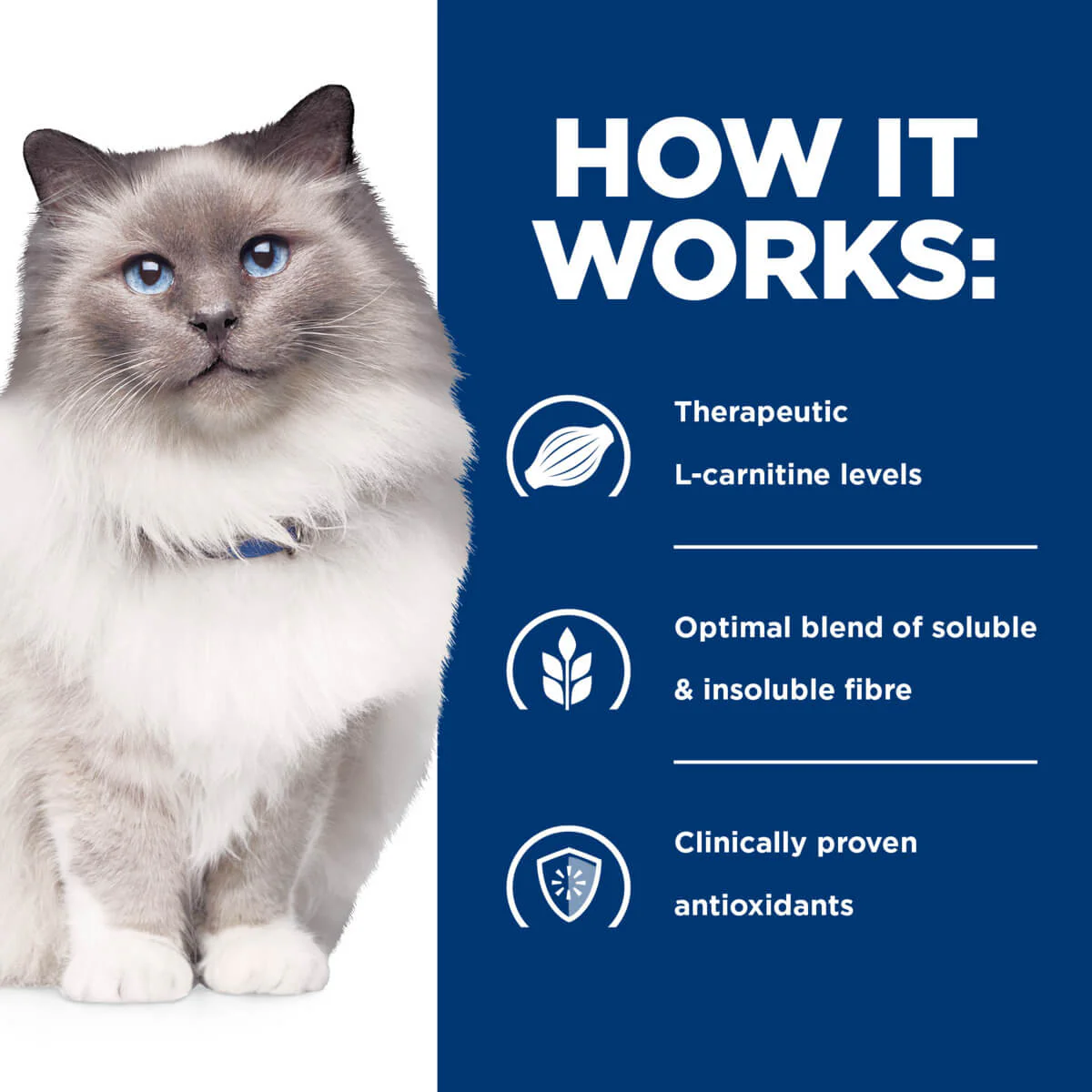 Hill's Prescription Diet R/D Weight Loss Dry Cat Food - Image 22