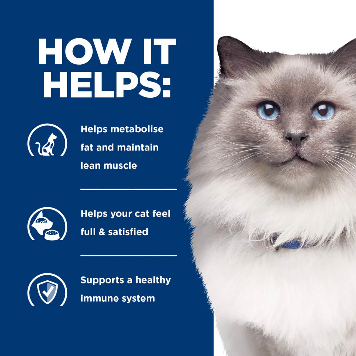 Hill's Prescription Diet R/D Weight Loss Dry Cat Food - Image 23
