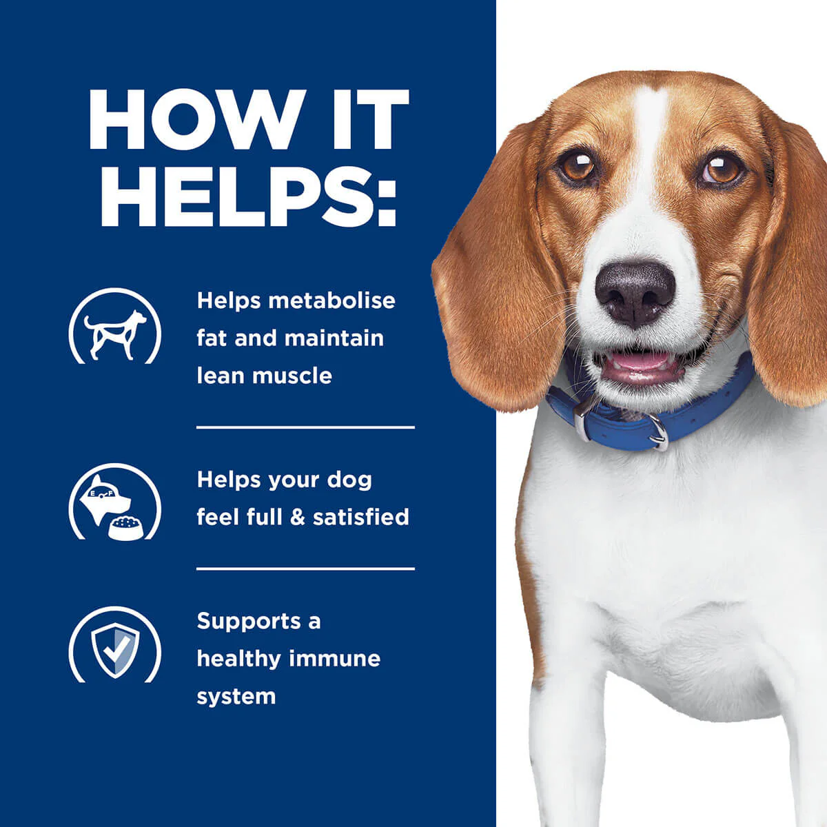 Hill's Prescription Diet R/D Weight Loss Dry Dog Food - Image 14