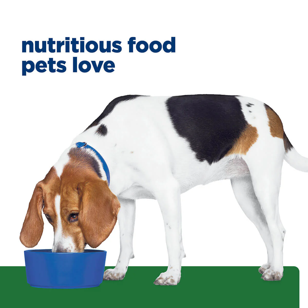 Hill's Prescription Diet R/D Weight Loss Dry Dog Food - Image 28