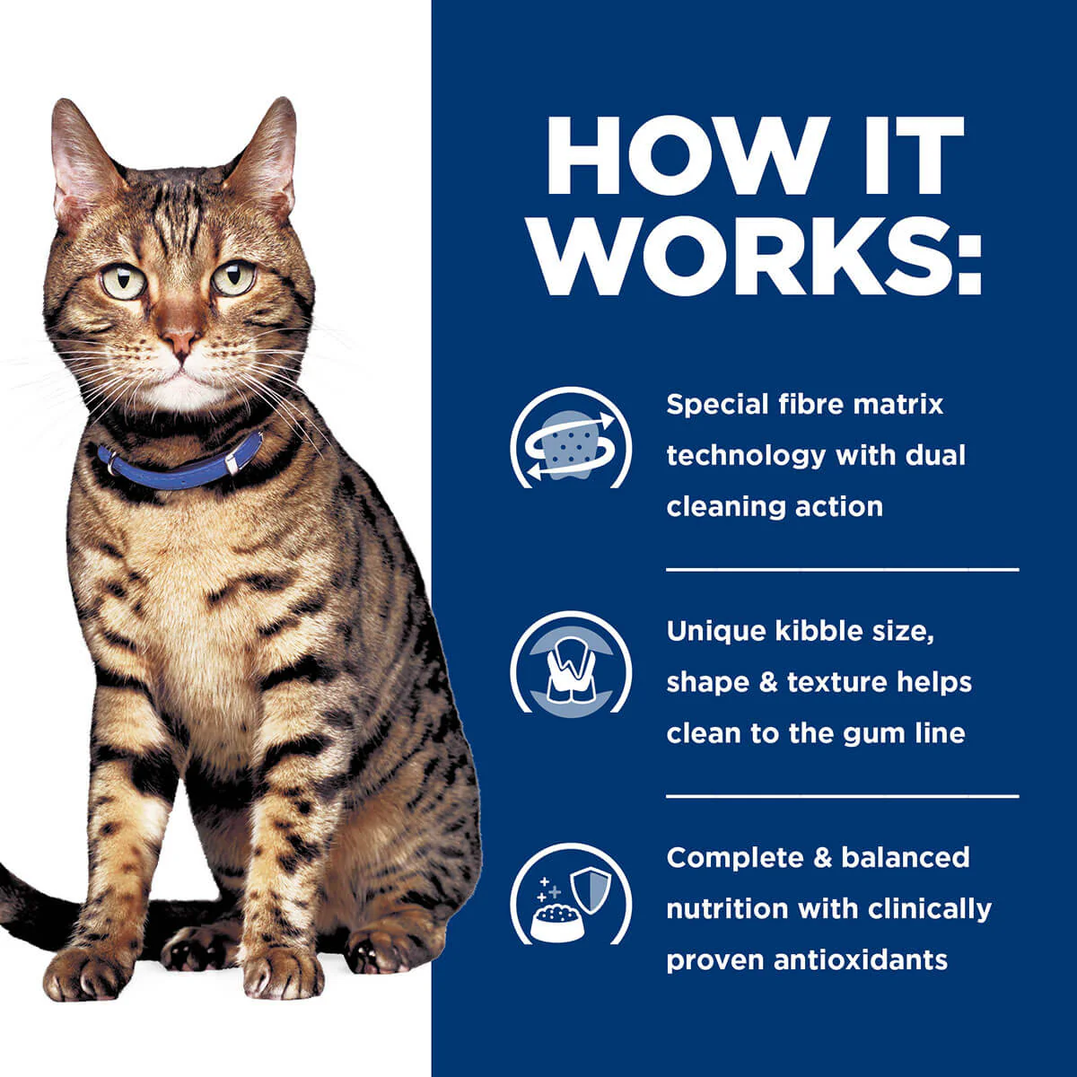 Hill's Prescription Diet T/D Dental Care Dry Cat Food - Image 10