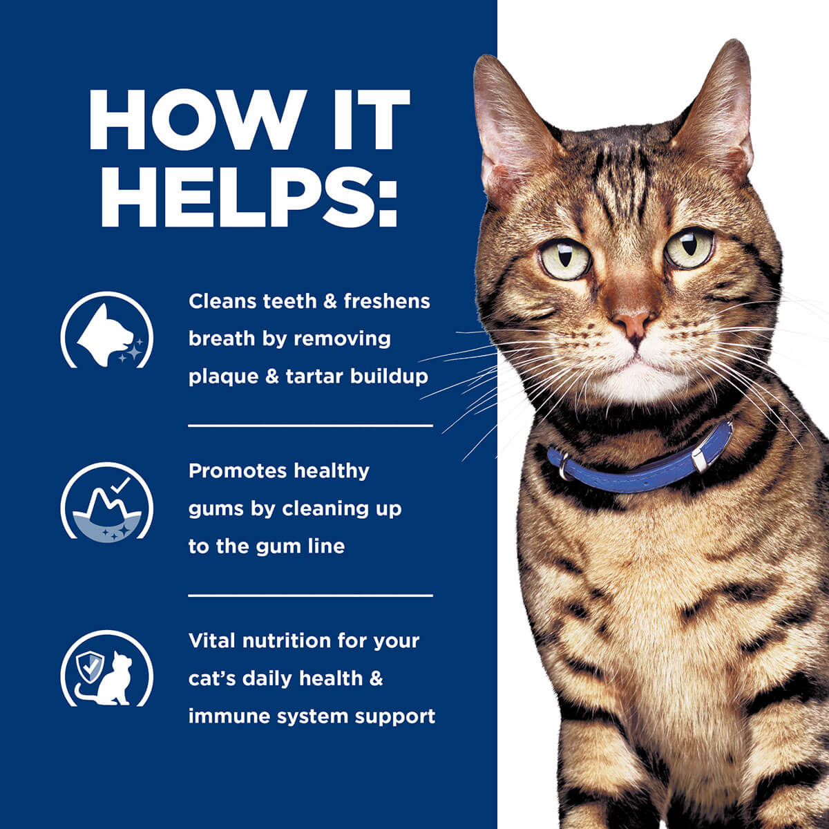 Hill's Prescription Diet T/D Dental Care Dry Cat Food - Image 13