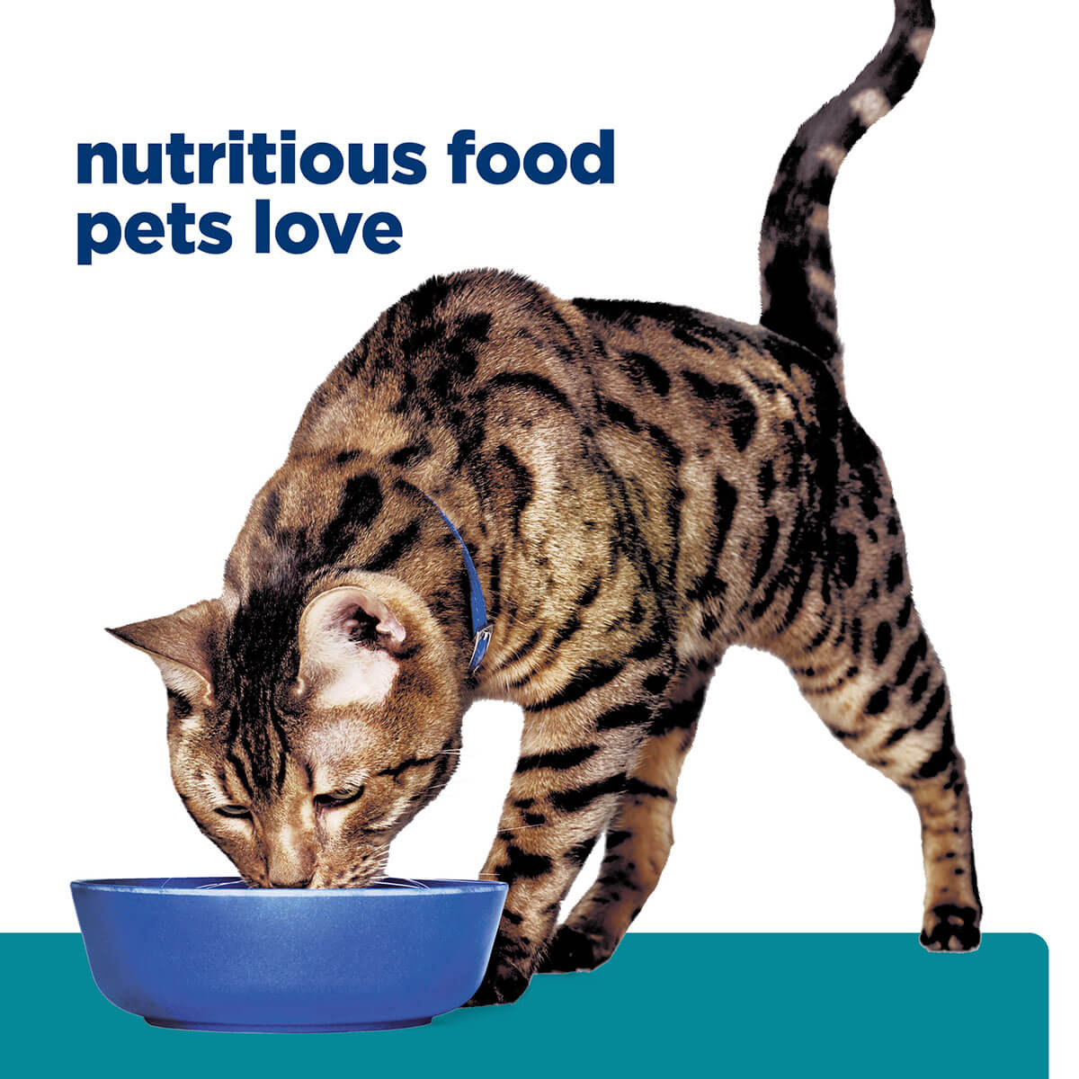 Hill's Prescription Diet T/D Dental Care Dry Cat Food - Image 40