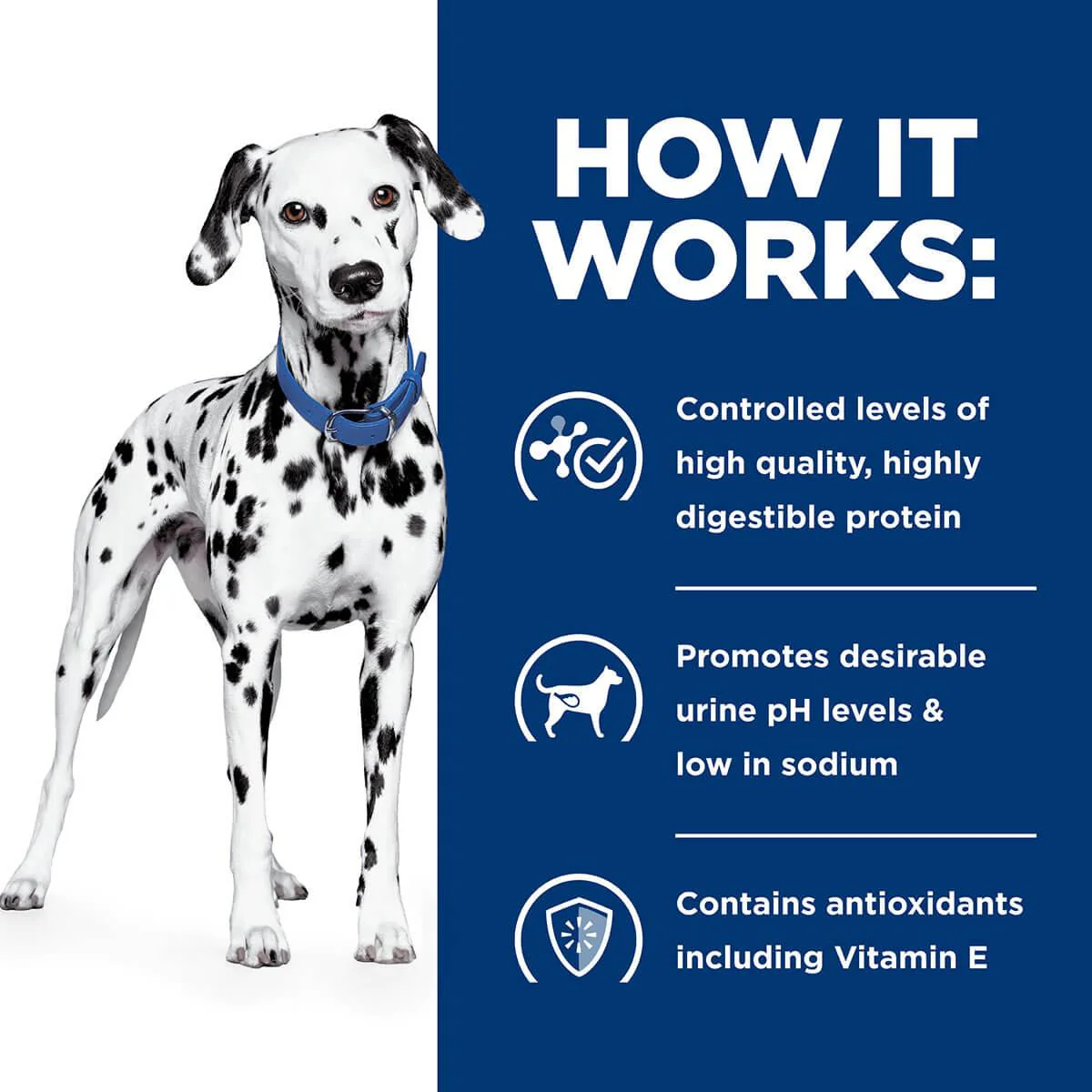 Hill's Prescription Diet U/D Urinary Care Dry Dog Food - Image 22