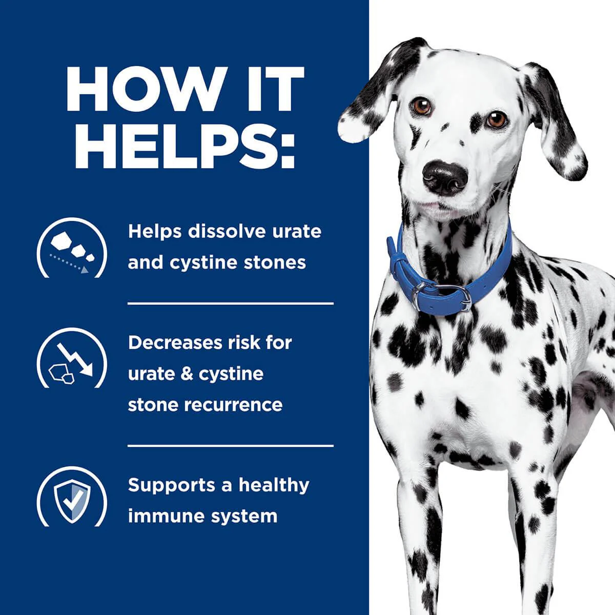 Hill's Prescription Diet U/D Urinary Care Dry Dog Food - Image 24