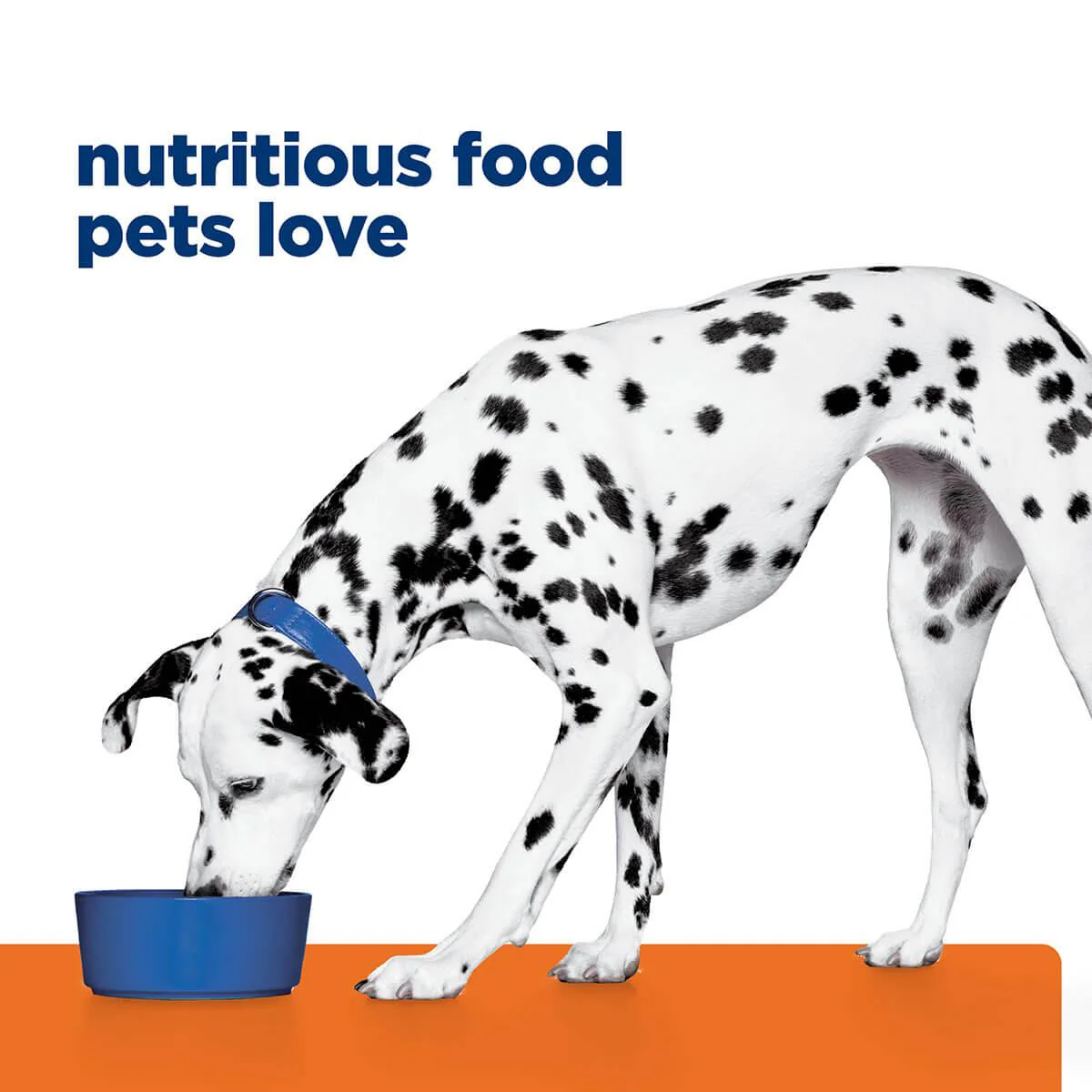 Hill's Prescription Diet U/D Urinary Care Dry Dog Food - Image 48