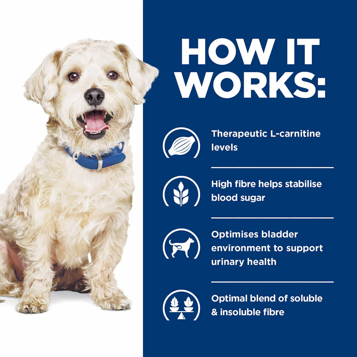 Hill's Prescription Diet W/D Multi-Benefit Dry Dog Food - Image 16