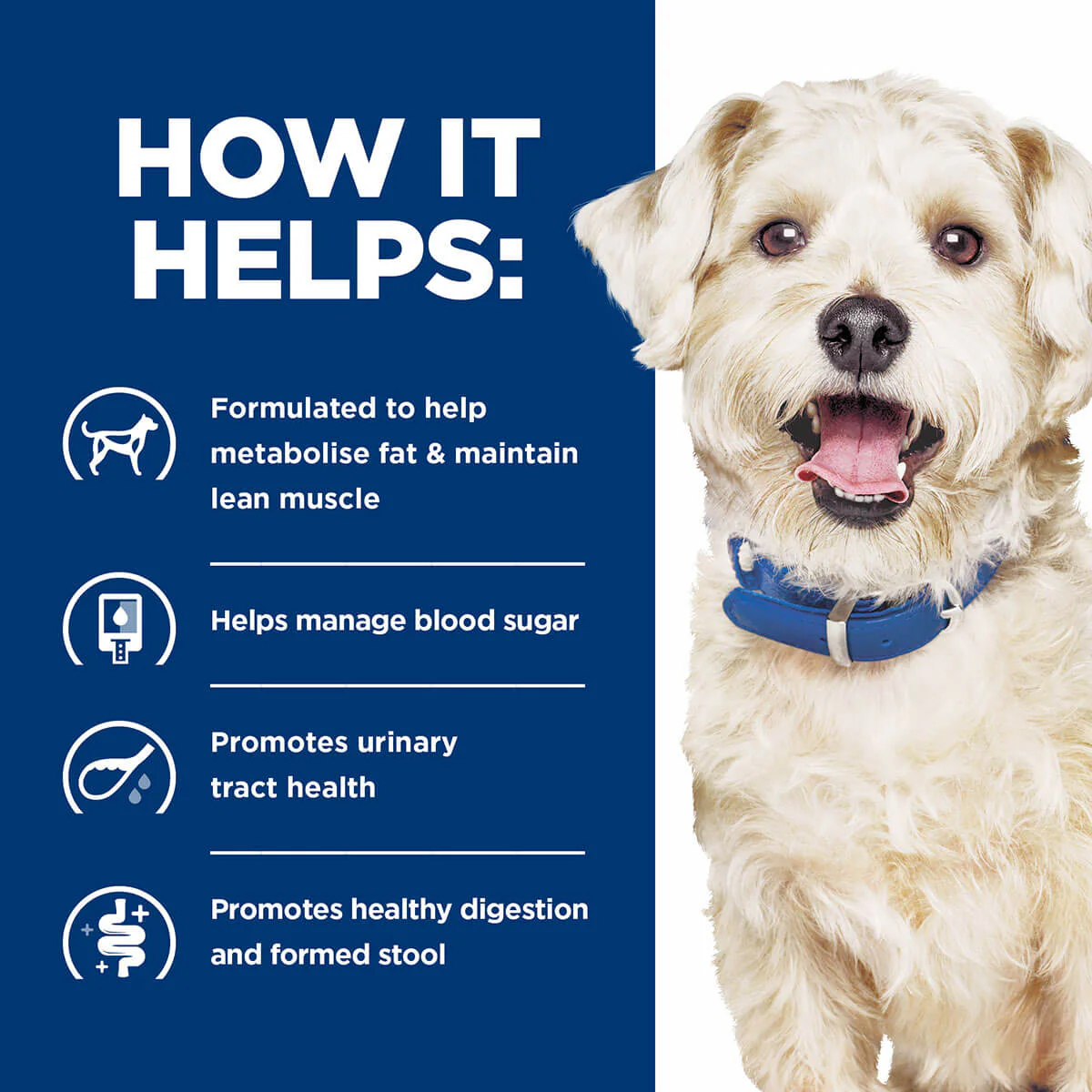 Hill's Prescription Diet W/D Multi-Benefit Dry Dog Food - Image 19