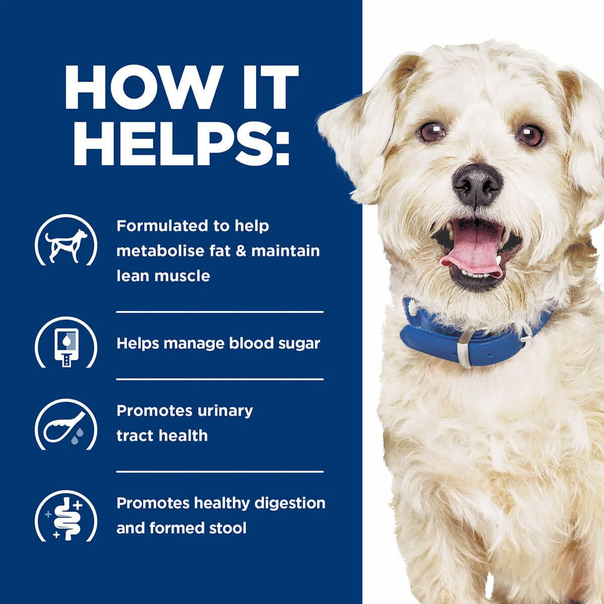Hill's Prescription Diet W/D Multi-Benefit Dry Dog Food - Image 21