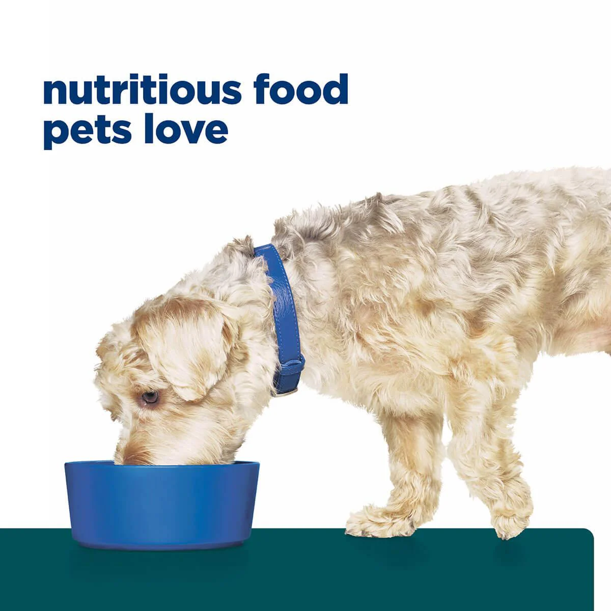 Hill's Prescription Diet W/D Multi-Benefit Dry Dog Food - Image 41