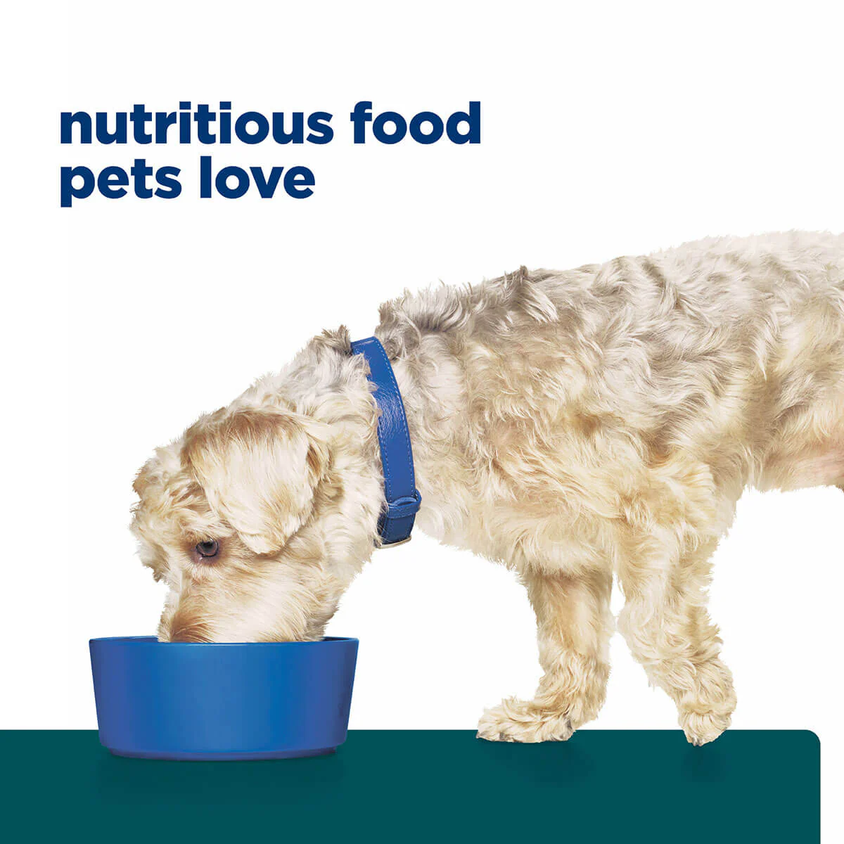 Hill's Prescription Diet W/D Multi-Benefit Dry Dog Food - Image 42