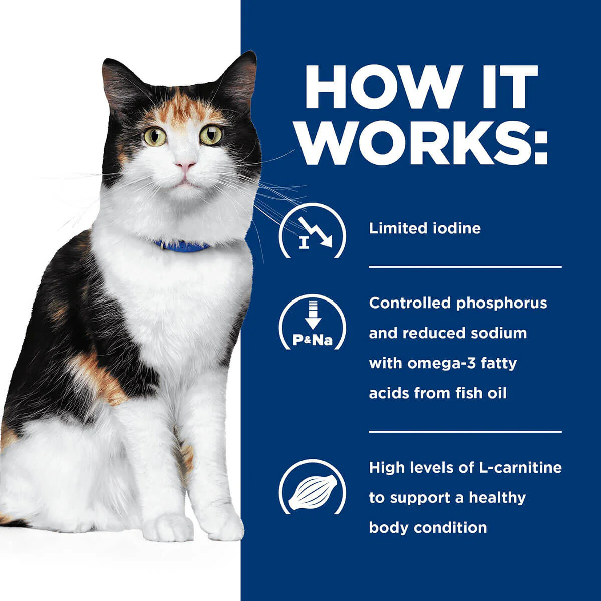 Hill's Prescription Diet Y/D Thyroid Care Dry Cat Food - Image 11