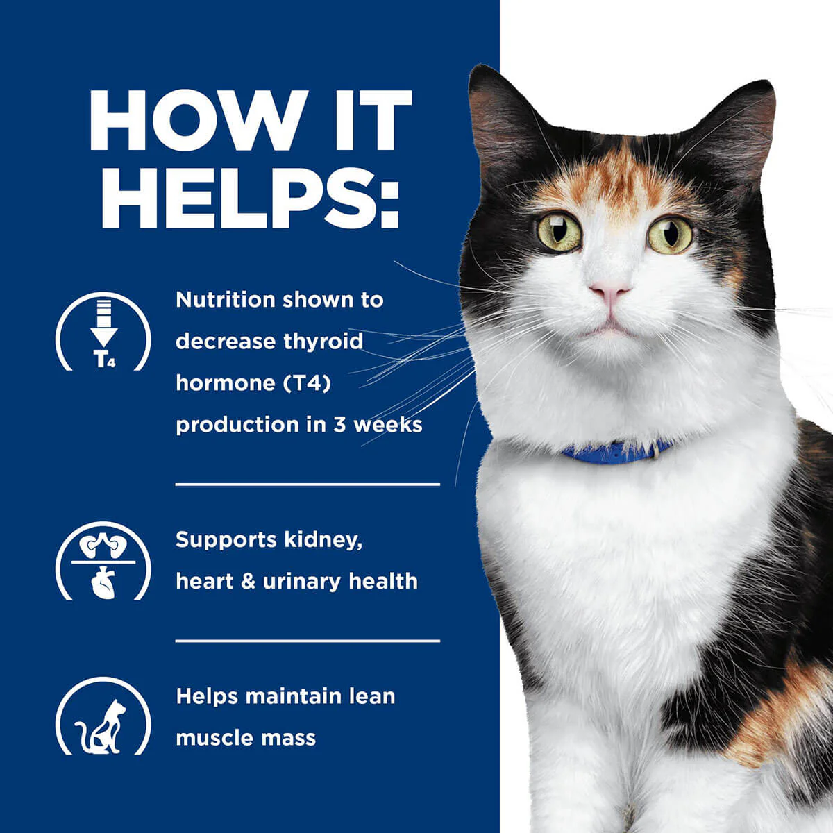 Hill's Prescription Diet Y/D Thyroid Care Dry Cat Food - Image 12