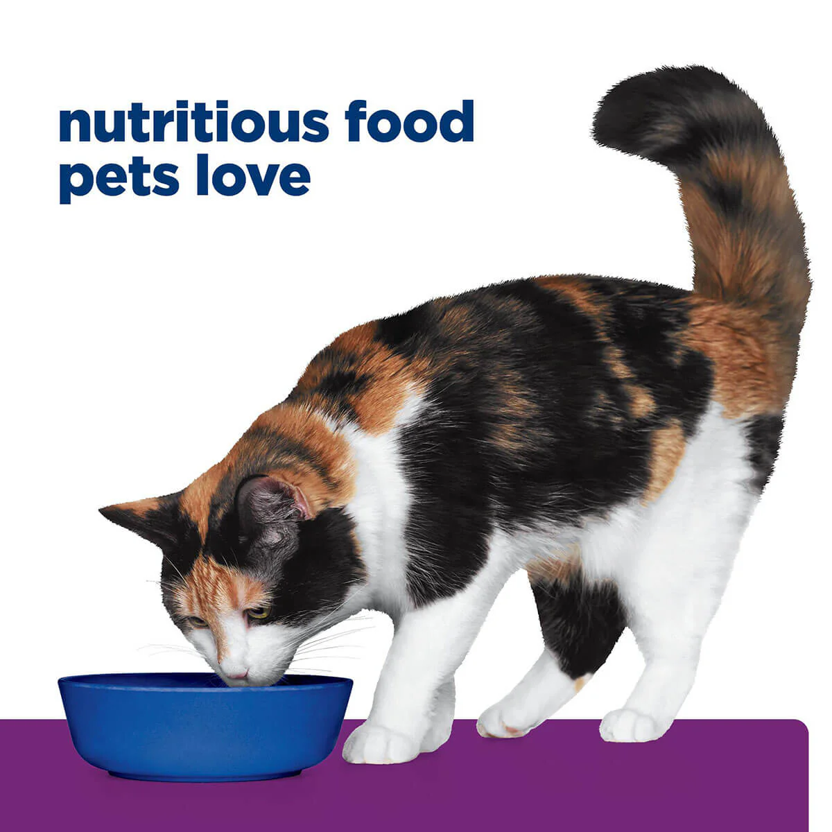 Hill's Prescription Diet Y/D Thyroid Care Dry Cat Food - Image 26