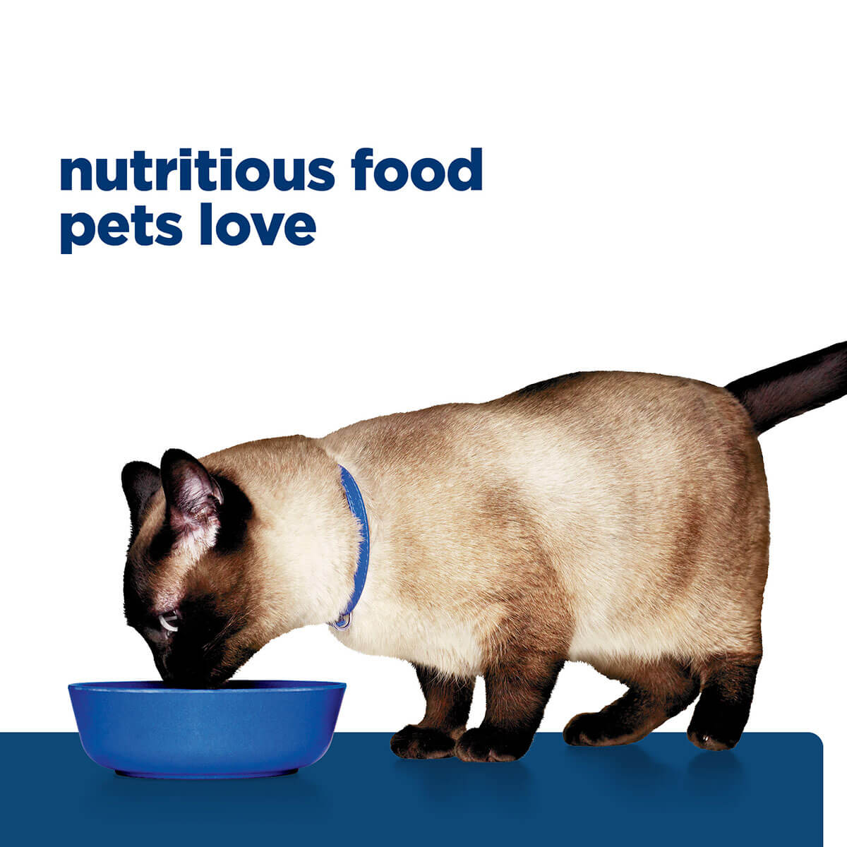 Hill's Prescription Diet Z/D Food Sensitivities Dry Cat Food - Image 29