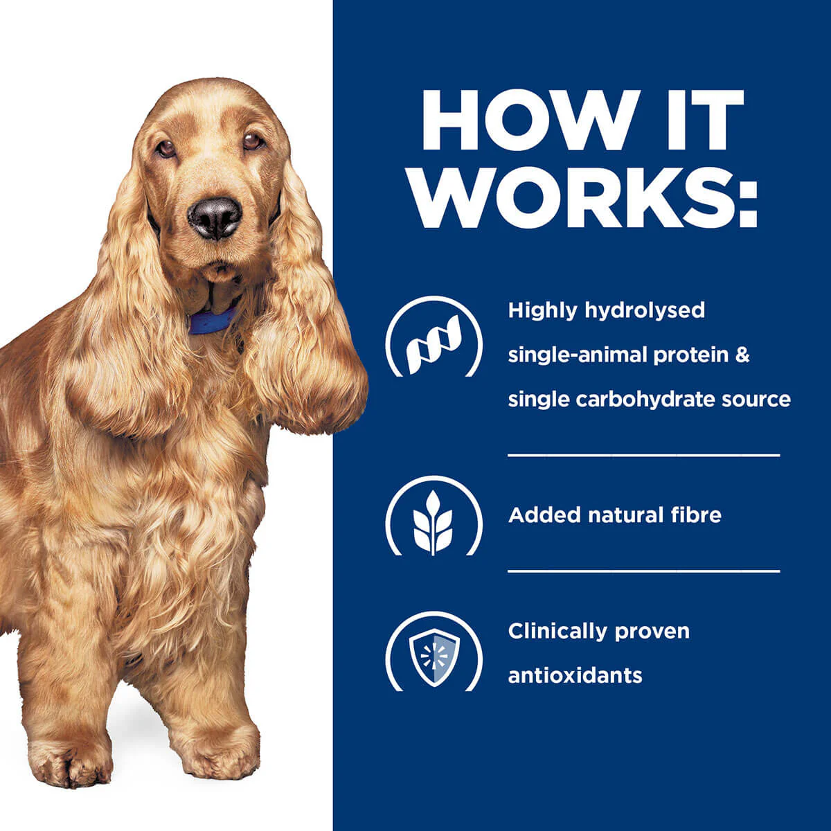 Hill's Prescription Diet Z/D Food Sensitivities Dry Dog Food - Image 17