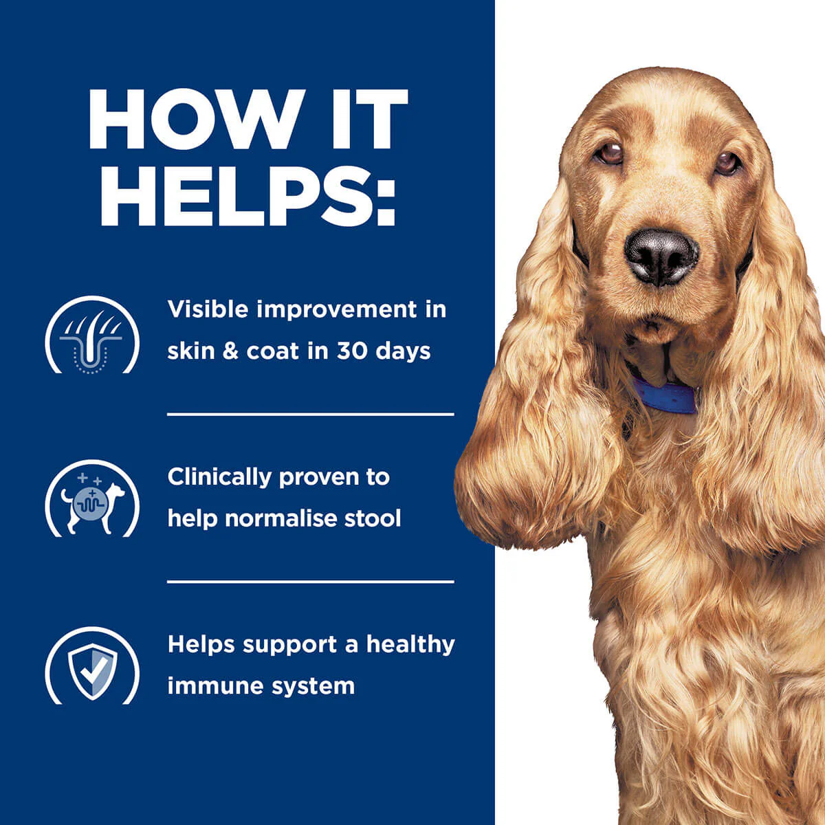 Hill's Prescription Diet Z/D Food Sensitivities Dry Dog Food - Image 21