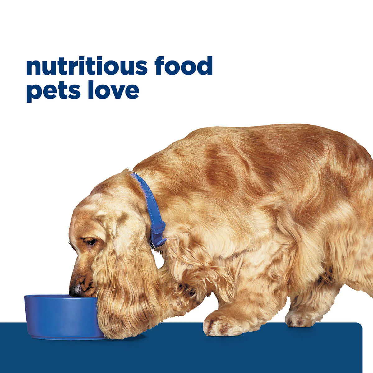 Hill's Prescription Diet Z/D Food Sensitivities Dry Dog Food - Image 44