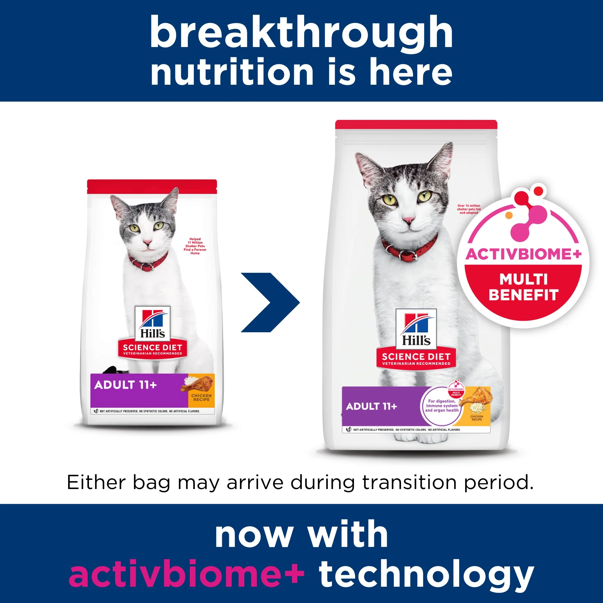 Hill's Science Diet 11+ Senior Dry Cat Food - Image 6