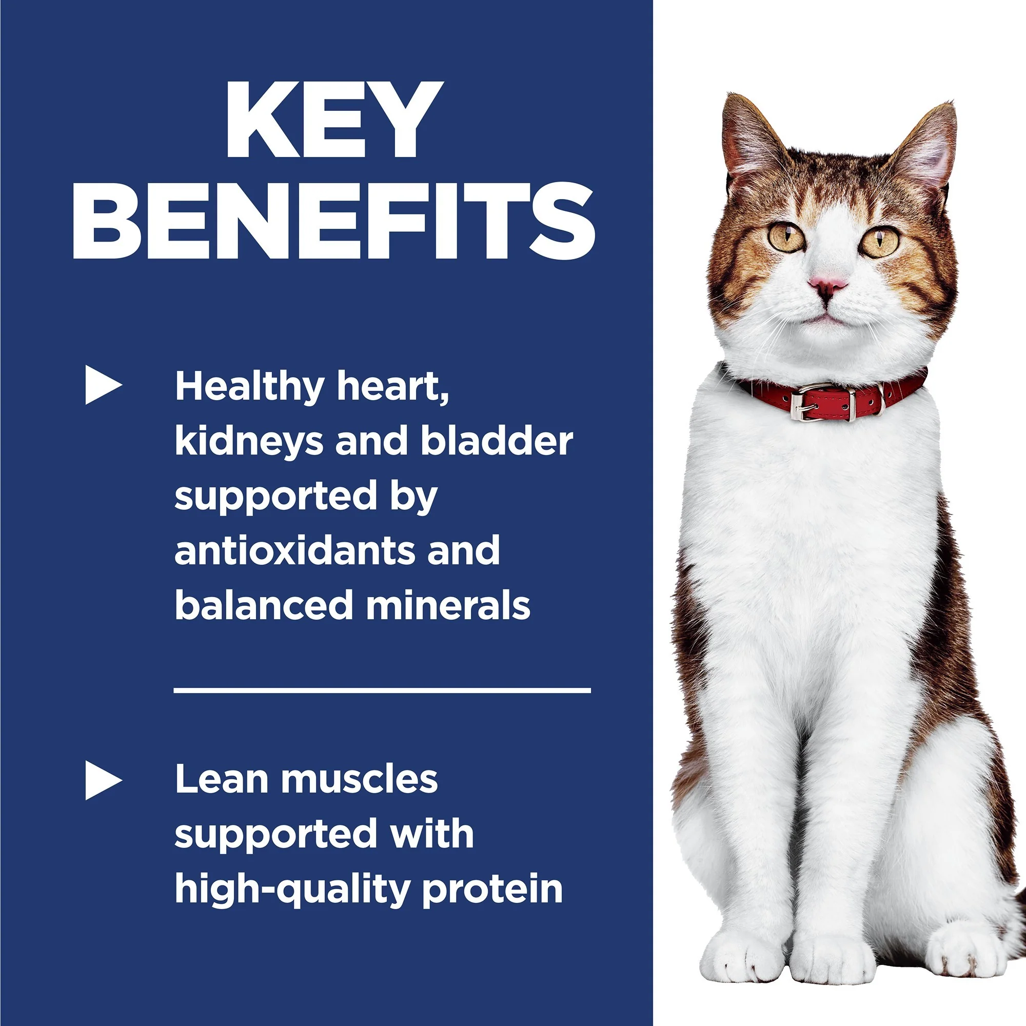 Hill's Science Diet 7+ Adult Dry Cat Food - Image 34