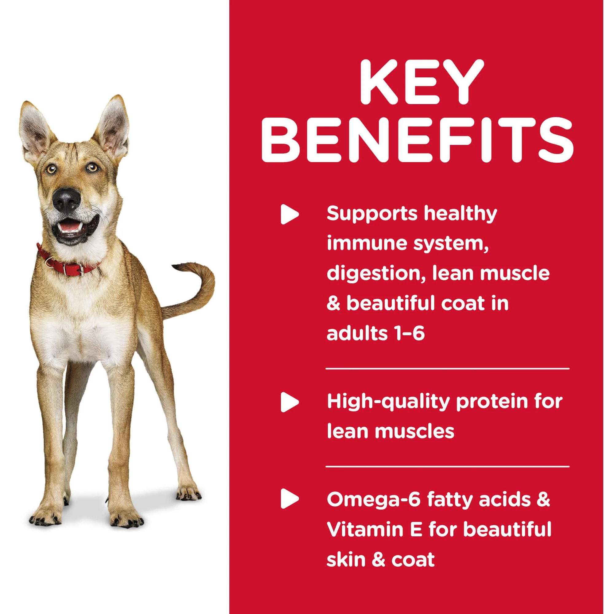 Hill's Science Diet Adult Chicken Wet Dog Food - Image 4