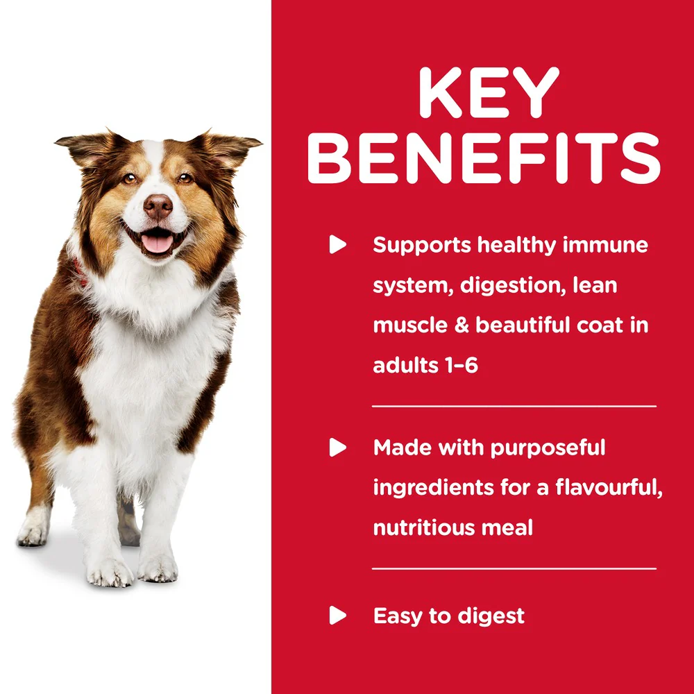 Hills Science Diet Adult Healthy Cuisine Chicken & Carrot Stew Canned Wet Dog Food - Image 3