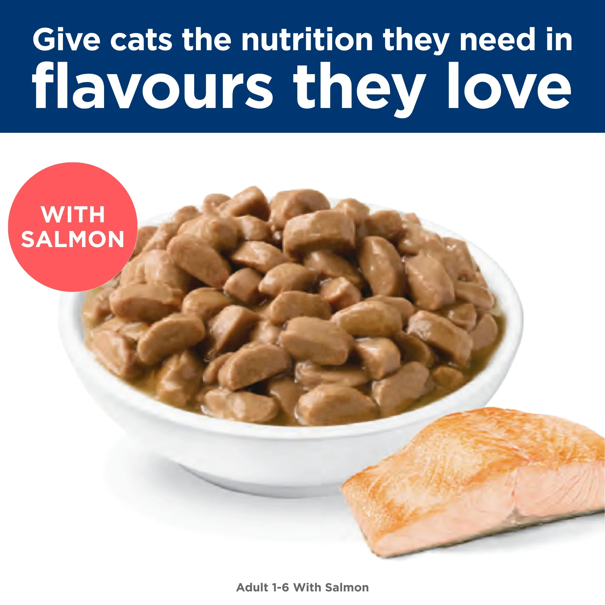 Hill's Science Diet Adult Ocean Fish Pouches Wet Cat Food - Image 13