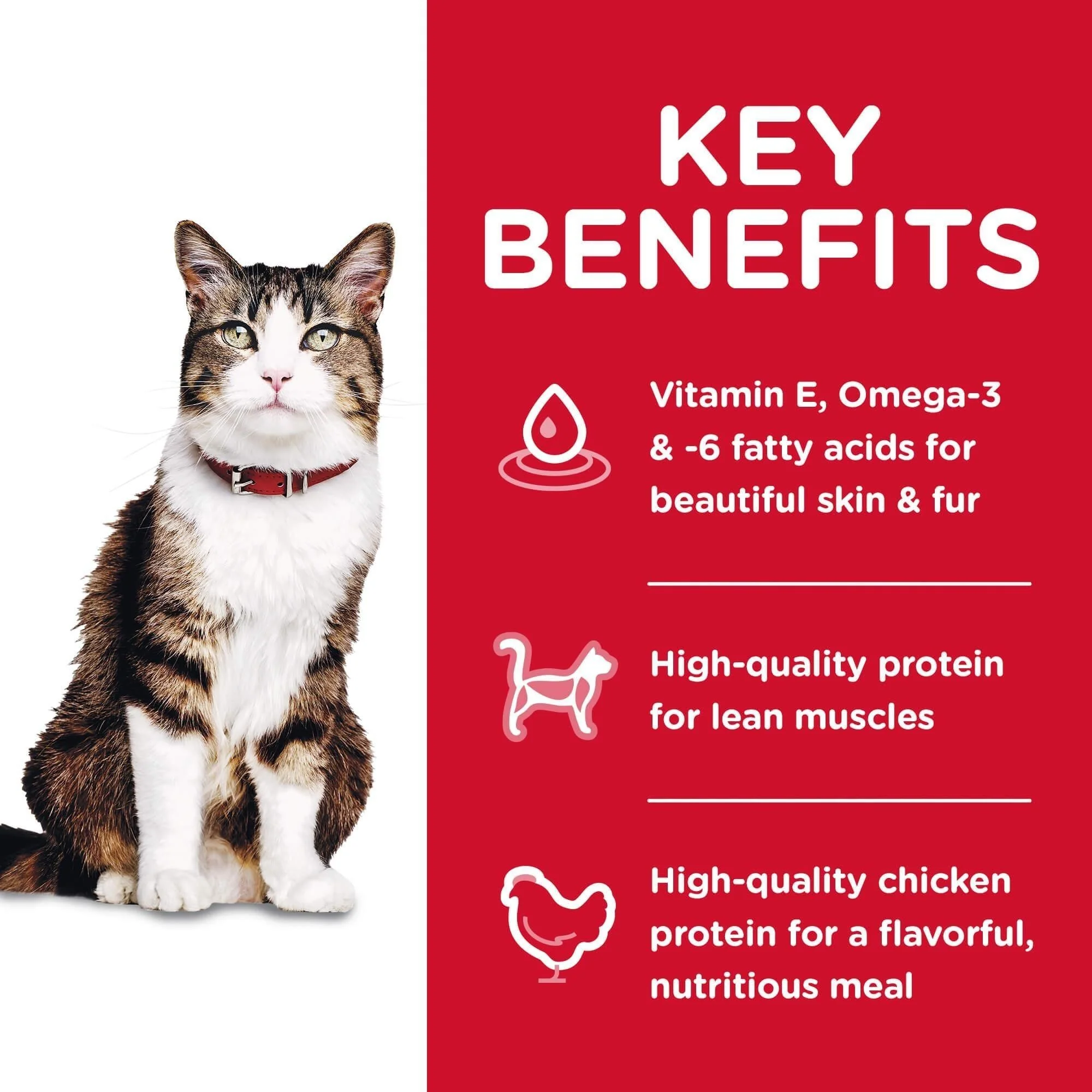 Hill's Science Diet Hairball Control Adult Chicken Dry Cat Food - Image 5