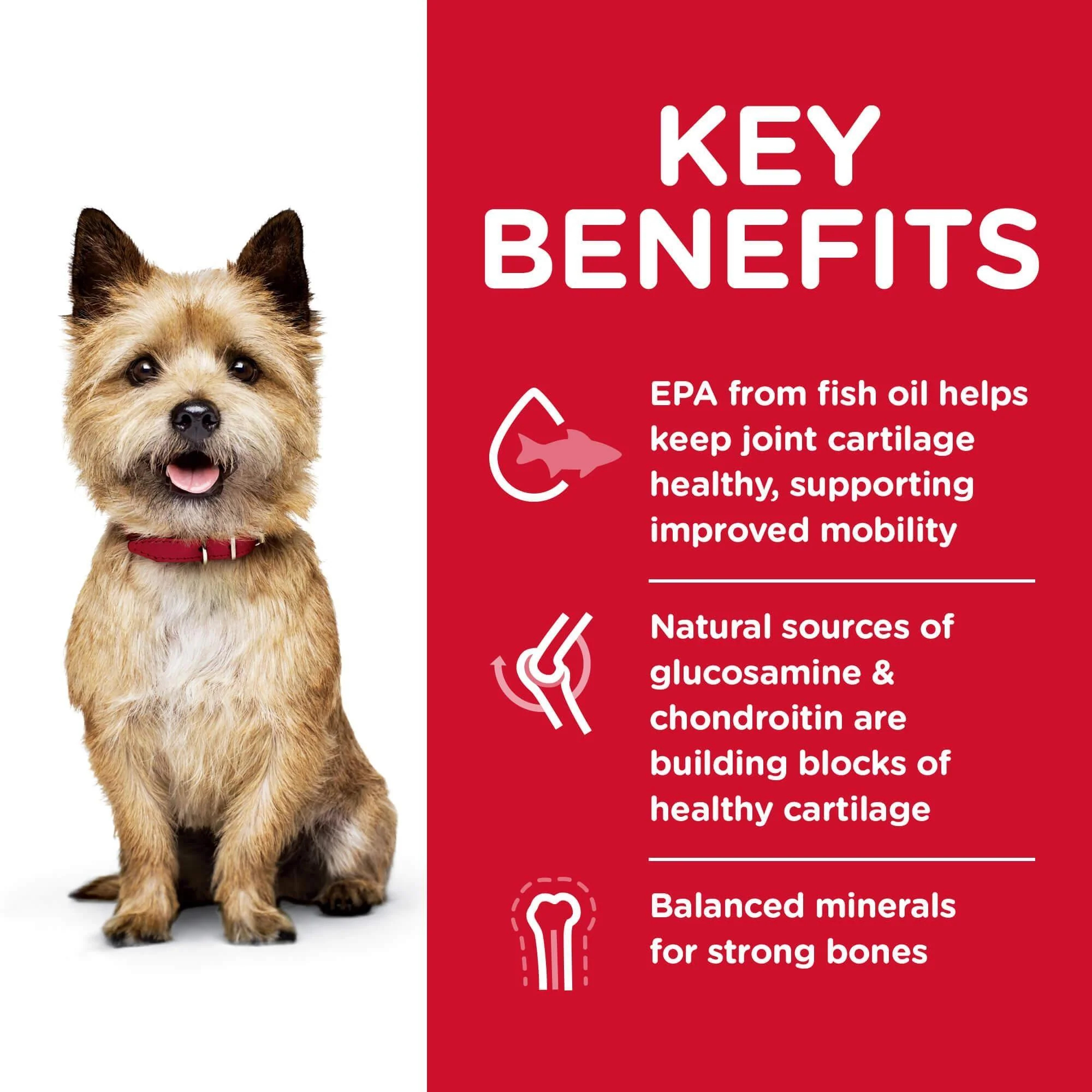 Hill's Science Diet Healthy Mobility Small Bites Adult Chicken Dry Dog Food - Image 6