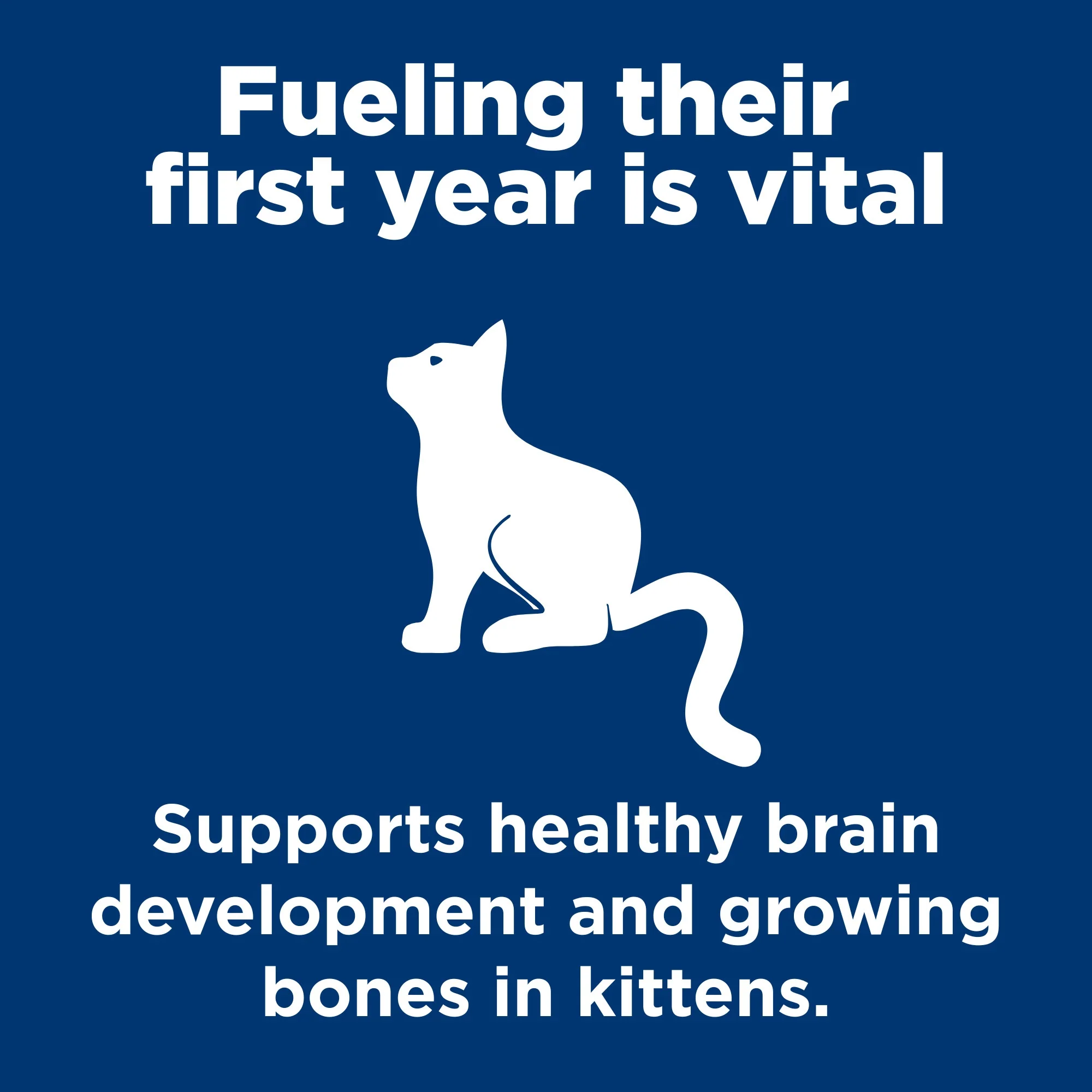 Hill's Science Diet Kitten Chicken Pouches Wet Cat Food - Image 14