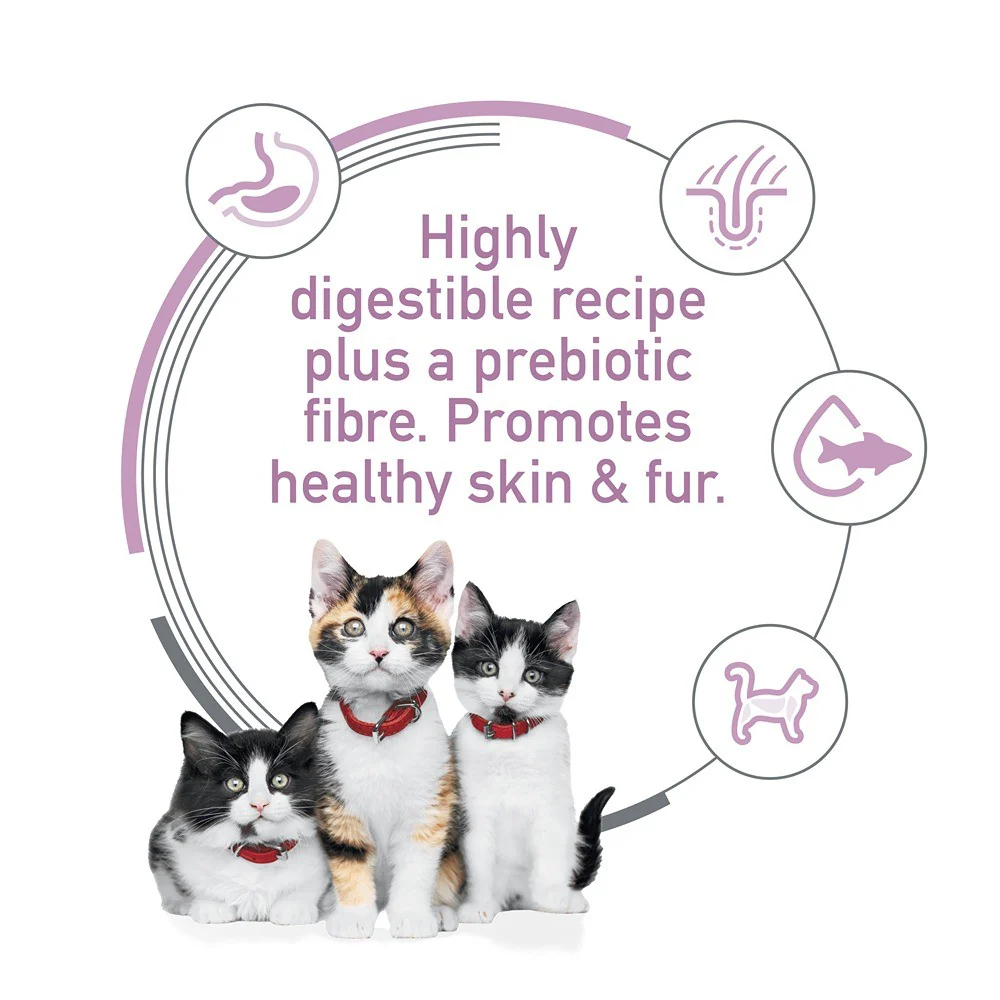 Hill's Science Diet Kitten Sensitive Stomach & Skin Salmon Dry Cat Food - Image 3