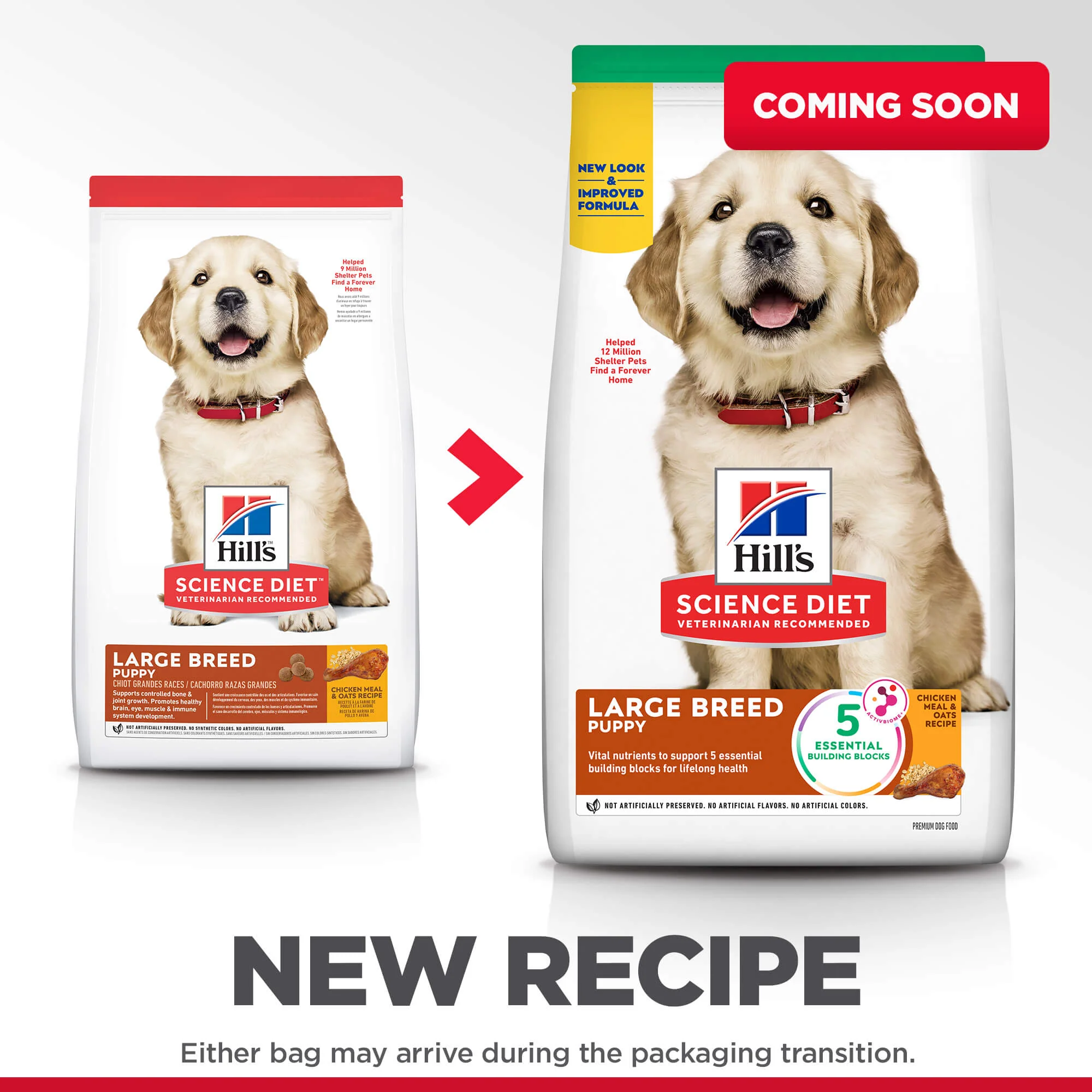 Hill's Science Diet Large Breed Puppy Chicken Dry Dog Food - Image 2