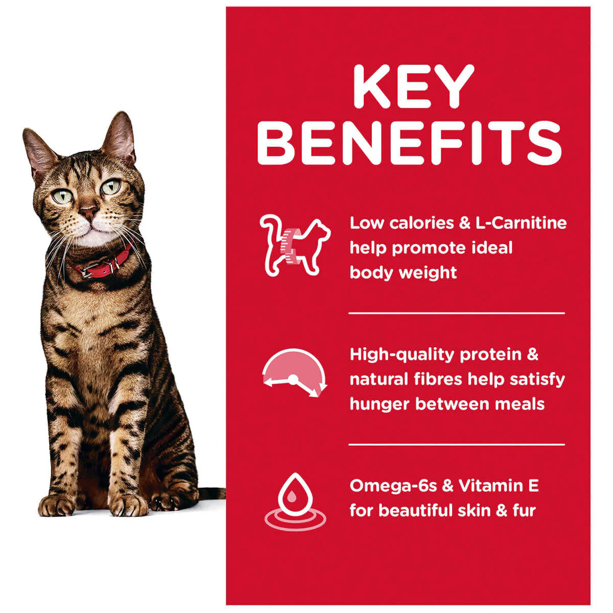 Hill's Science Diet Light Adult Chicken Dry Cat Food - Image 3