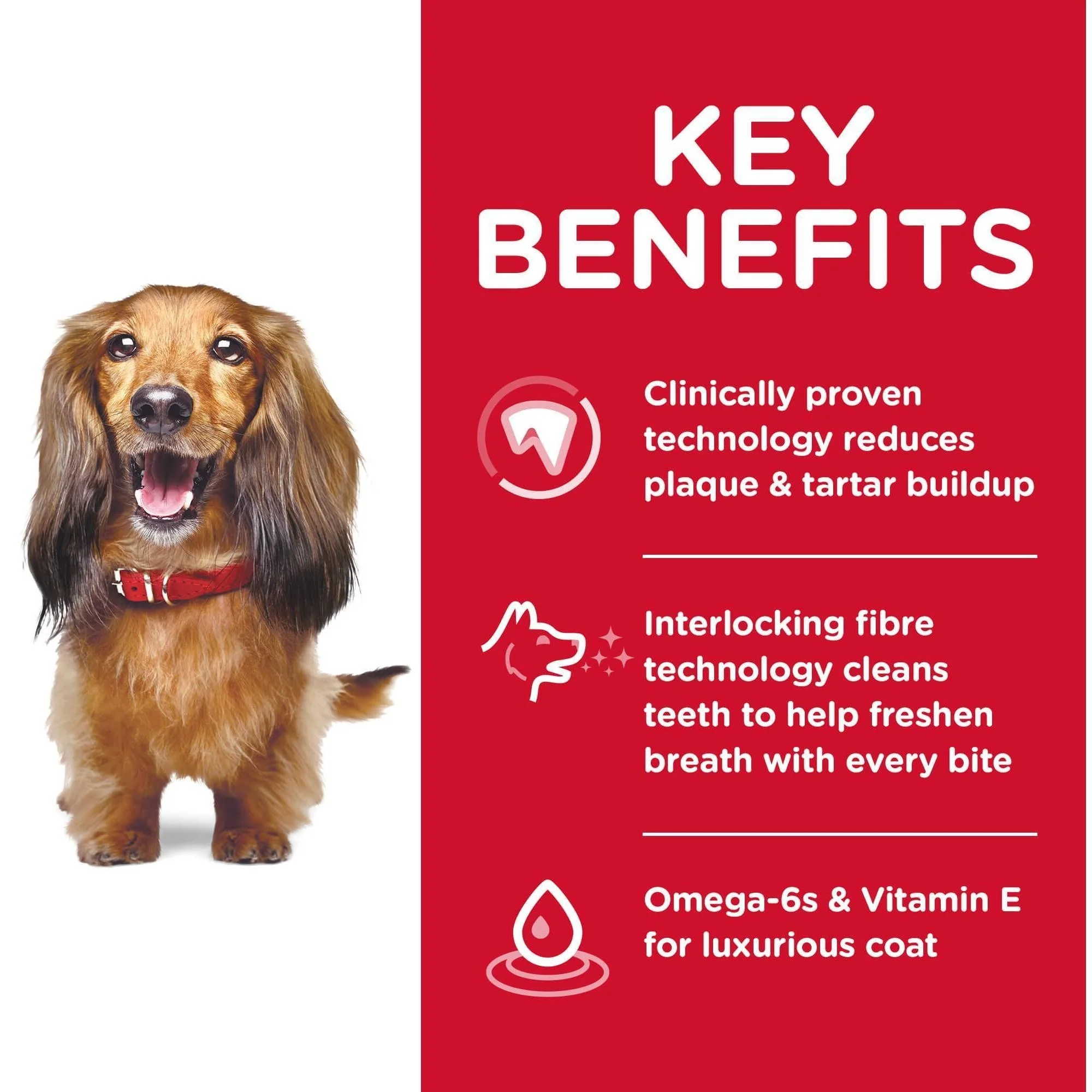 Hill's Science Diet Oral Care Adult Chicken Dry Dog Food - Image 19