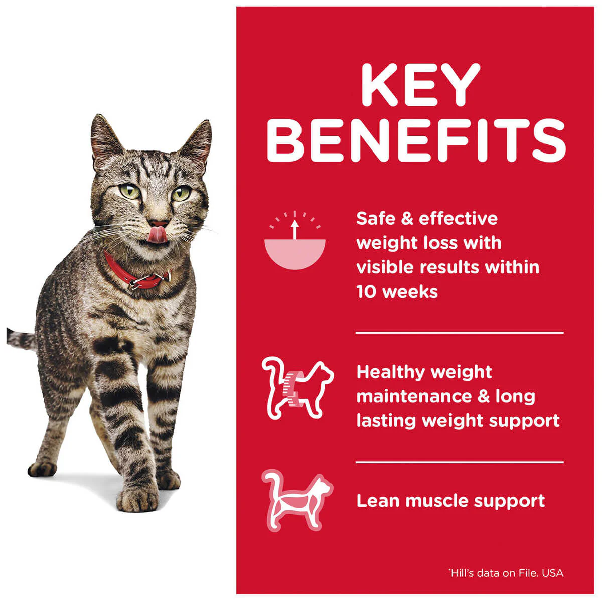 Hill's Science Diet Perfect Weight Adult Salmon Wet Cat Food - Image 6