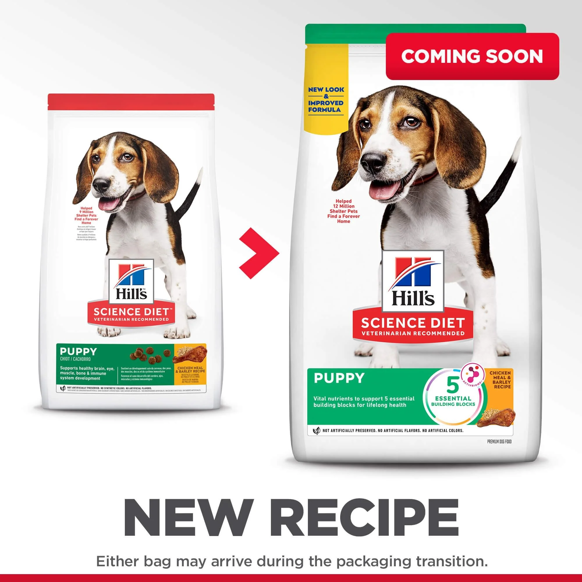 Hill's Science Diet Puppy Dry Dog Food - Image 6