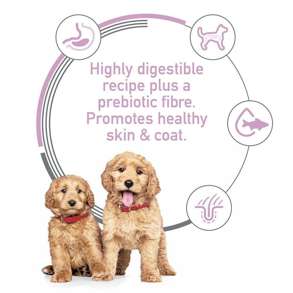 Hill's Science Diet Puppy Sensitive Stomach & Skin Salmon Dry Dog Food - Image 3