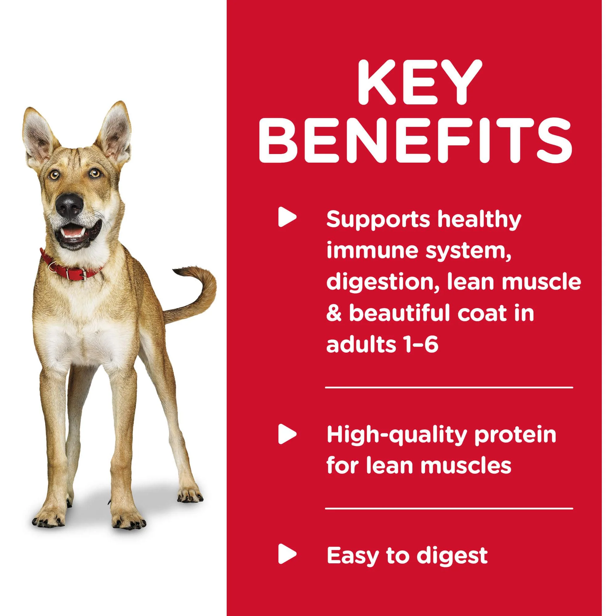 Hill's Science Diet Savory Stew Adult Chicken & Vegetable Wet Dog Food - Image 3