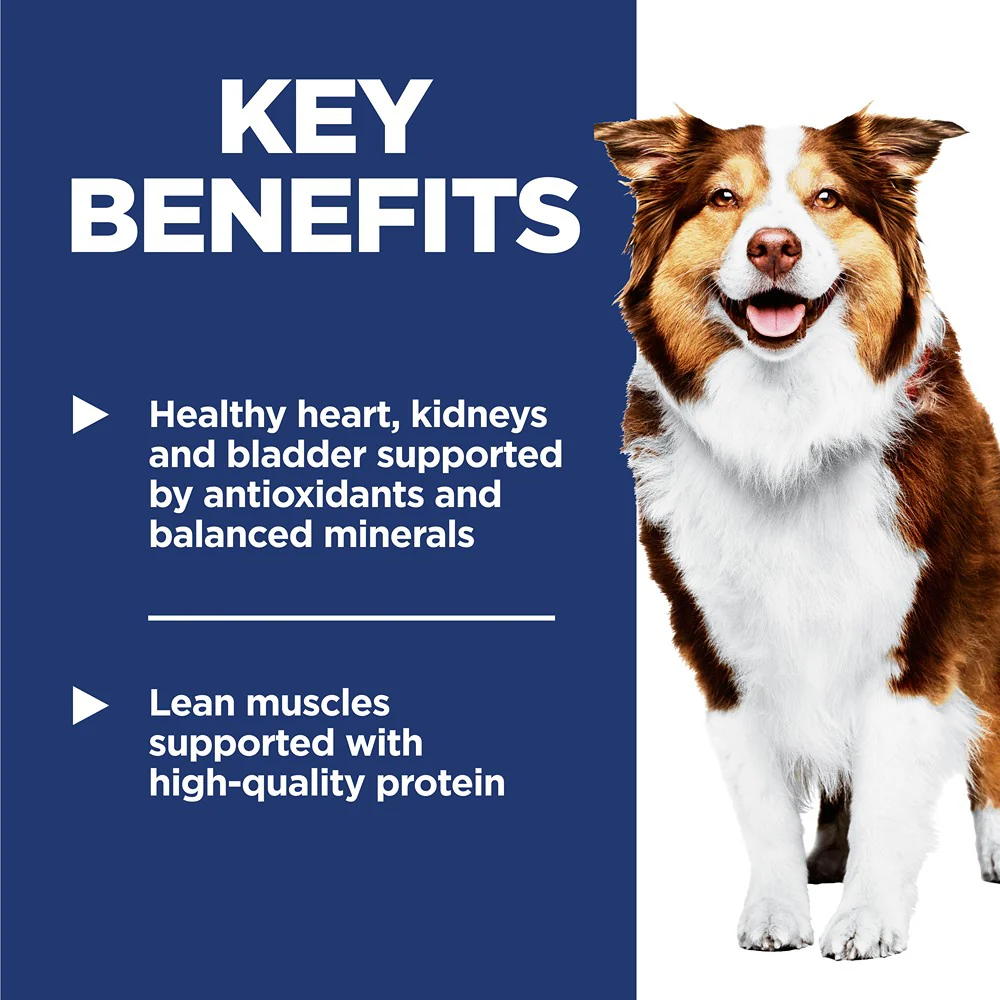 Hill's Science Diet Adult 7+ Senior Dry Dog Food - Image 14