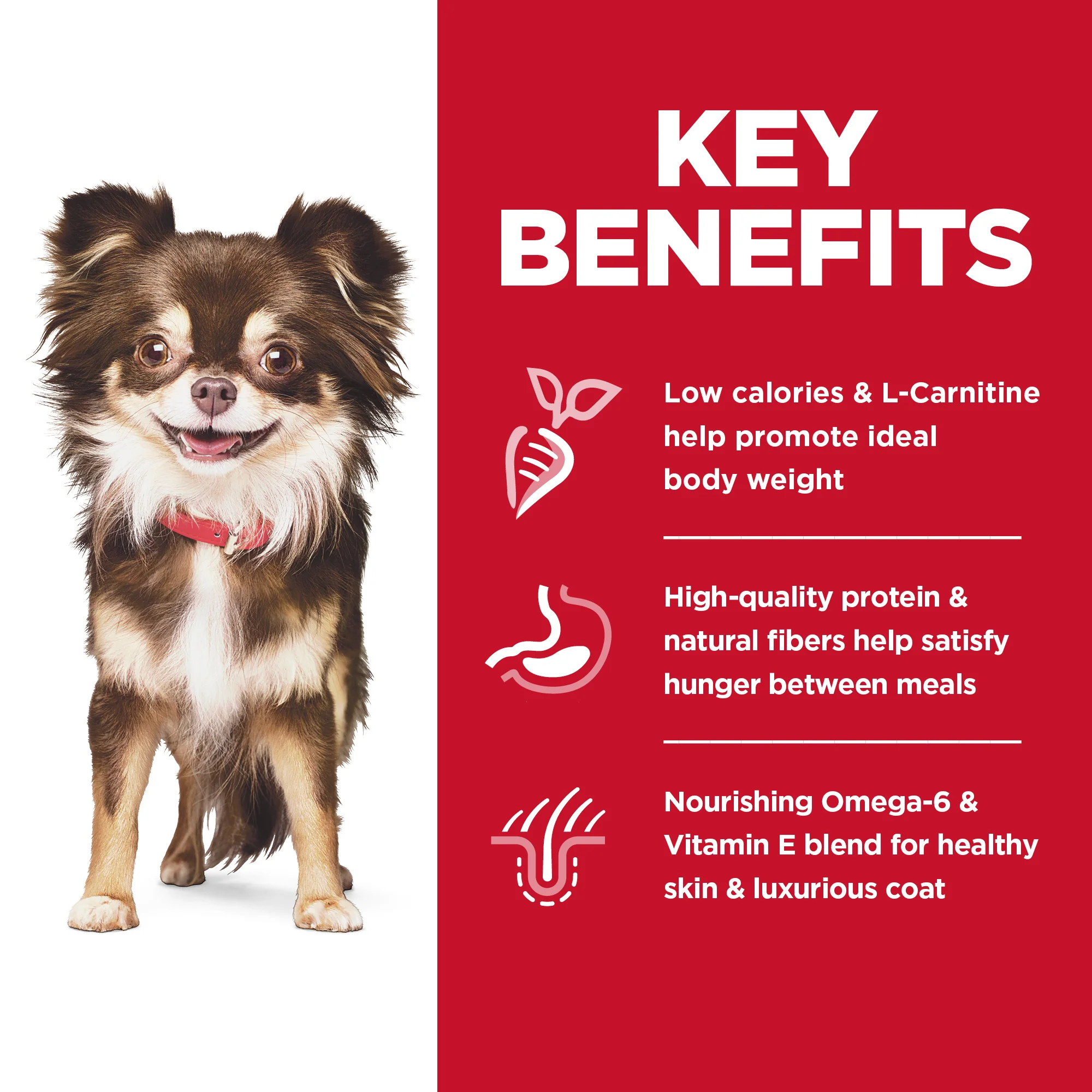Hill's Science Diet Sensitive Skin & Stomach Adult Small & Mini Dry Dog Food - Image 5