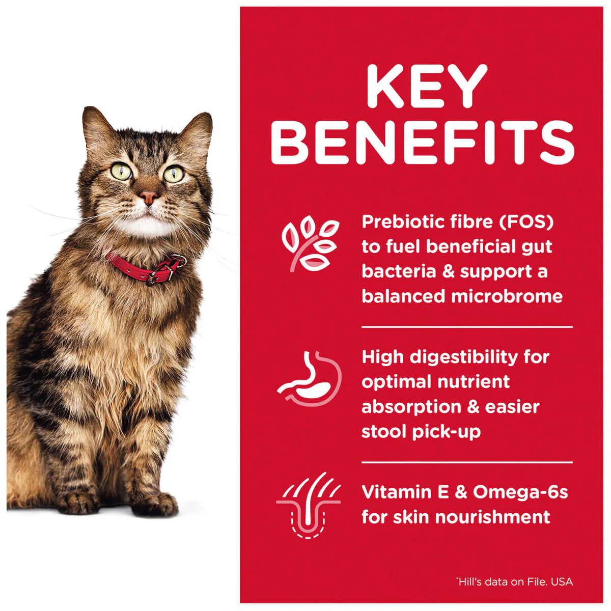 Hill's Science Diet Sensitive Stomach & Skin Adult Chicken Dry Cat Food - Image 8